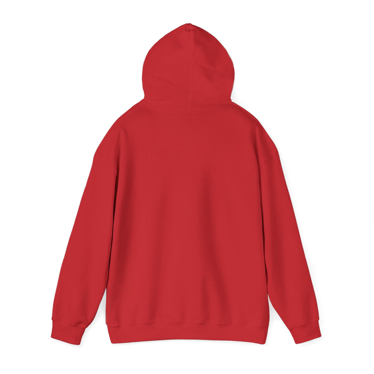 Hoodie — Front & Back
