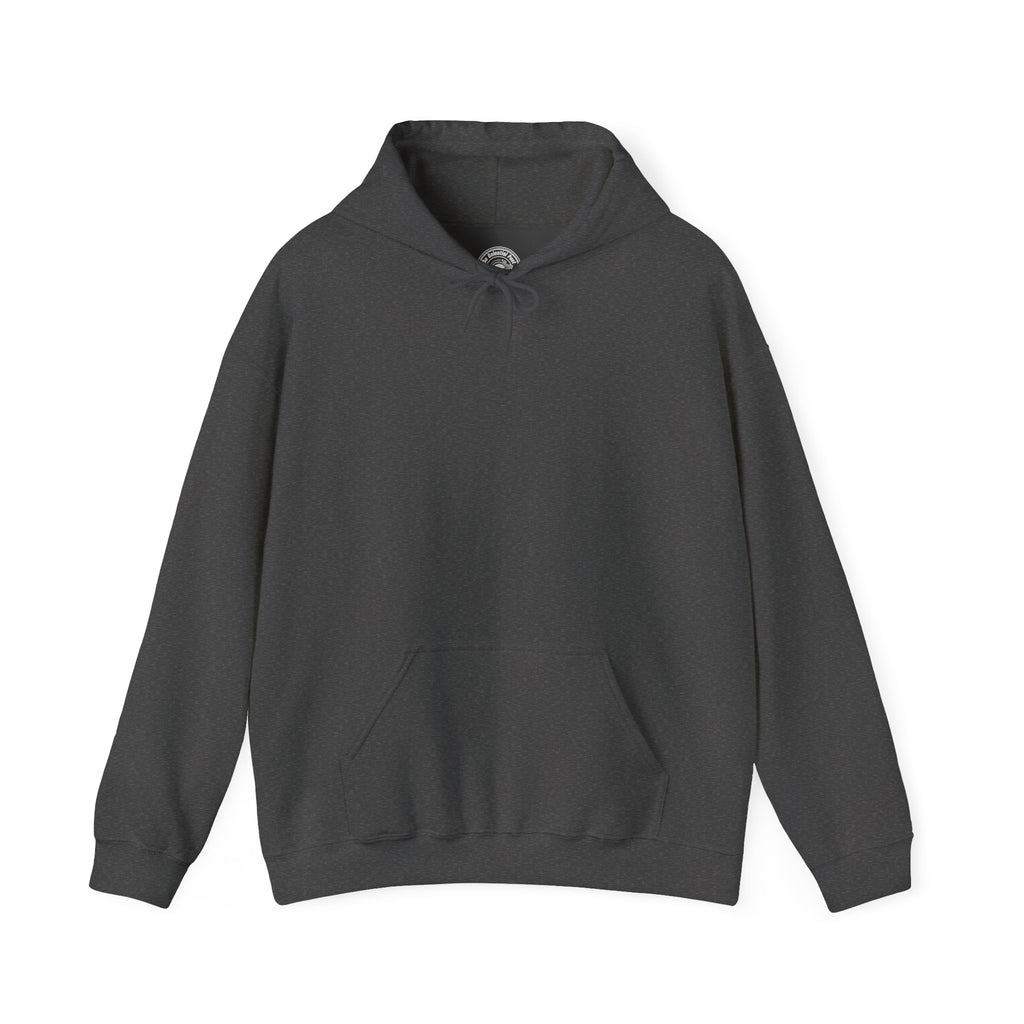 Hoodie — Front & Back