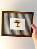 Framed Watercolor Mushroom Painting, Navy Fabric Background, Nature Wall Art