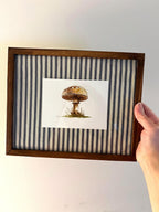 Framed Watercolor Mushroom Painting, Navy Fabric Background, Nature Wall Art