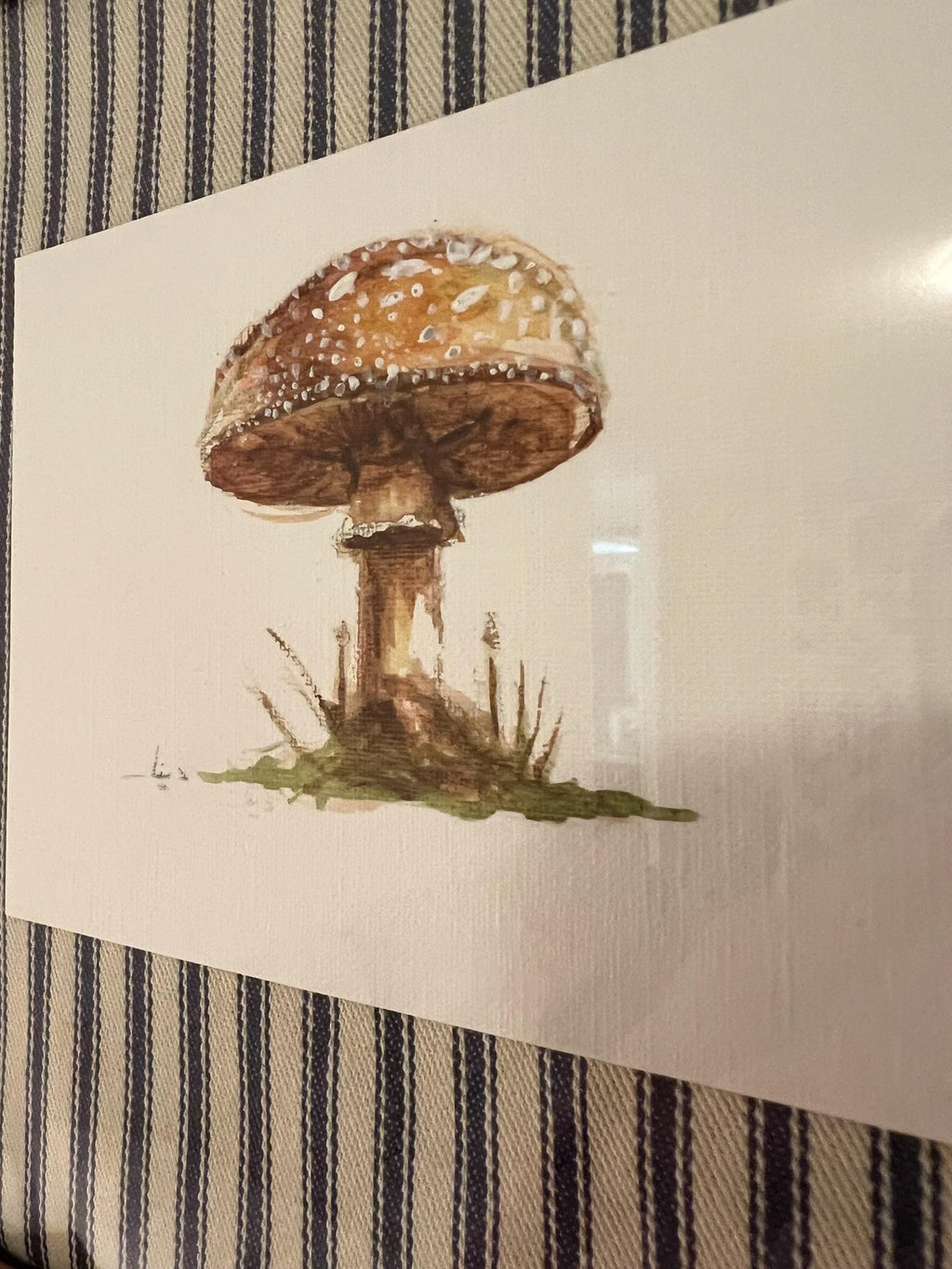 Framed Watercolor Mushroom Painting, Navy Fabric Background, Nature Wall Art
