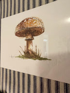 Framed Watercolor Mushroom Painting, Navy Fabric Background, Nature Wall Art