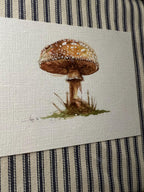 Framed Watercolor Mushroom Painting, Navy Fabric Background, Nature Wall Art