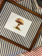 Framed Watercolor Mushroom Painting, Navy Fabric Background, Nature Wall Art