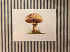 Framed Watercolor Mushroom Painting, Navy Fabric Background, Nature Wall Art