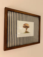 Framed Watercolor Mushroom Painting, Navy Fabric Background, Nature Wall Art
