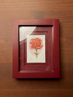 Framed Watercolor Rose Flower Painting: Original Mini Botanical Art, anniversary Gift