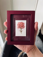 Framed Watercolor Rose Flower Painting: Original Mini Botanical Art, anniversary Gift