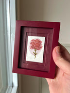 Framed Watercolor Rose Flower Painting: Original Mini Botanical Art, anniversary Gift