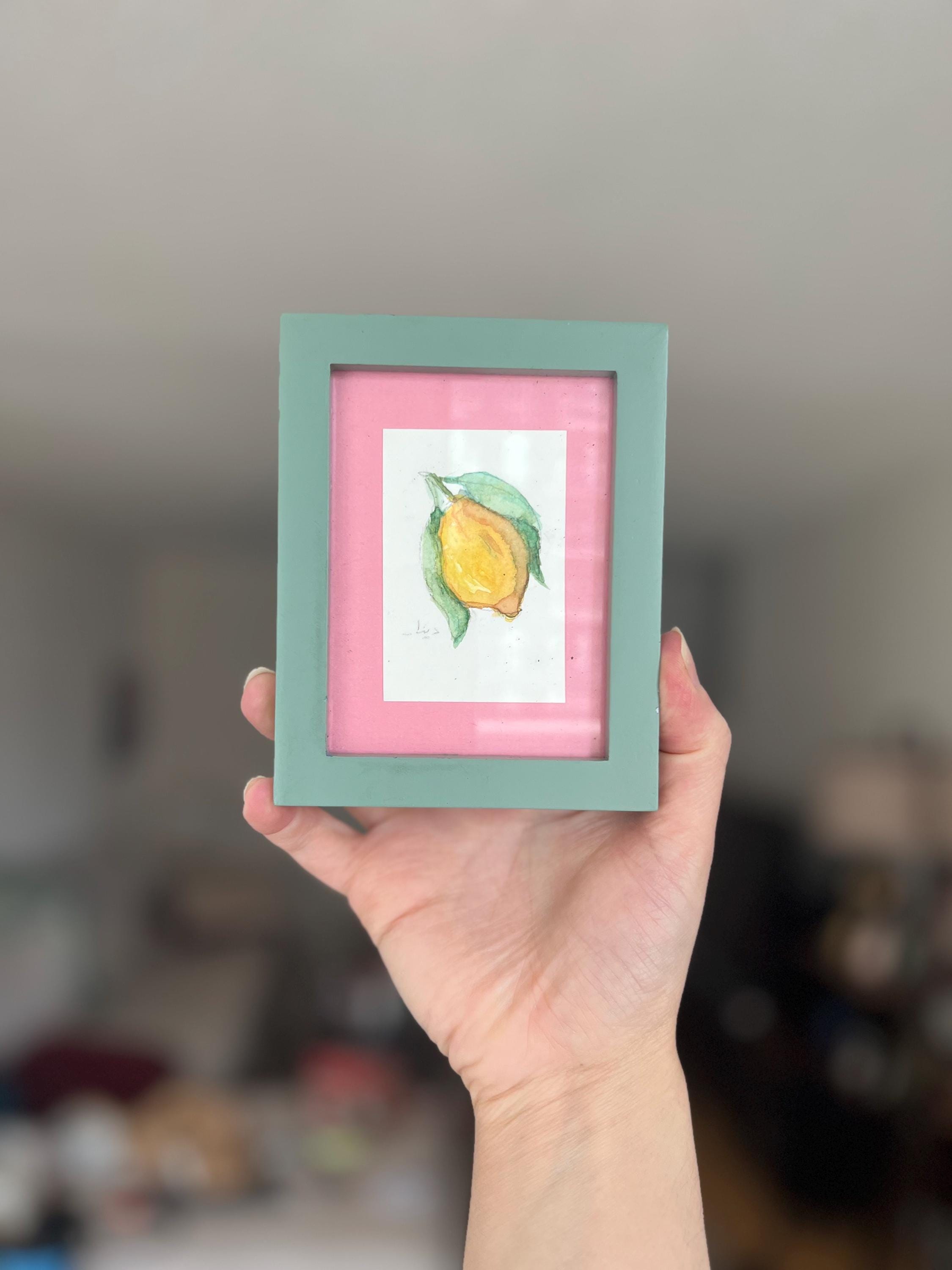 Mini Framed Watercolor Paintings: Rose, Lemon, Orange, UFOs, Striped Fabric Back