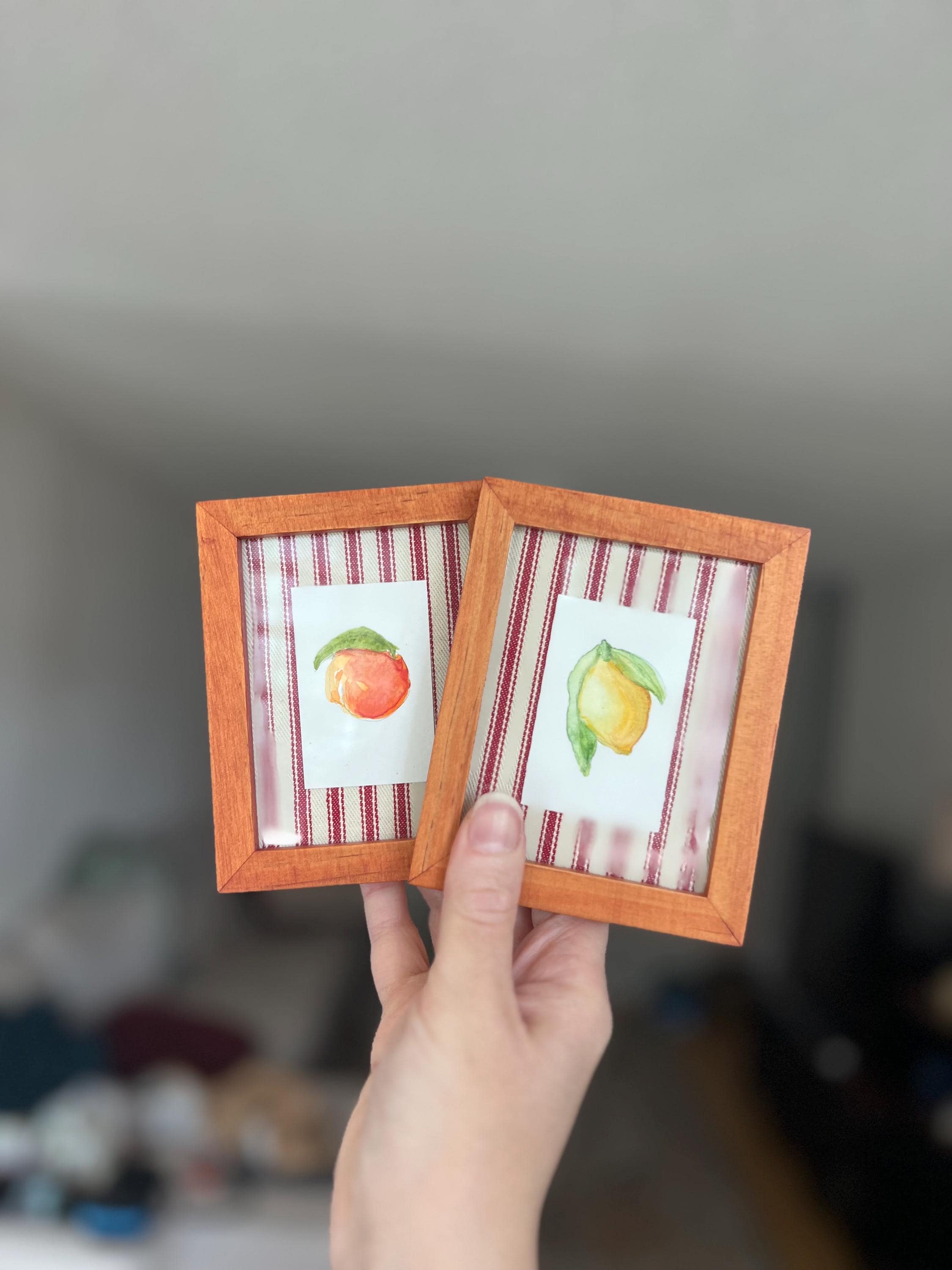 Mini Framed Watercolor Paintings: Rose, Lemon, Orange, UFOs, Striped Fabric Back