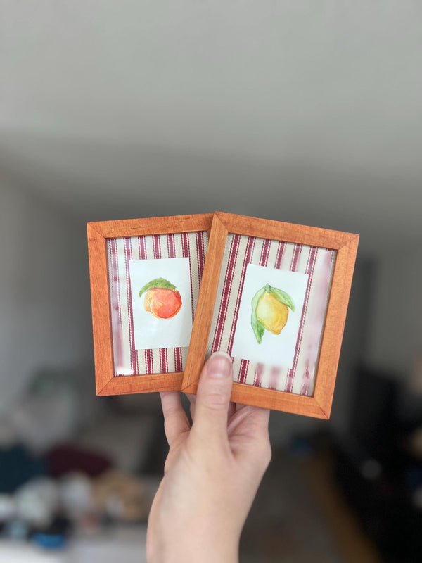 Mini Framed Watercolor Paintings: Rose, Lemon, Orange, UFOs, Striped Fabric Back